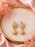 GOLDEN COCCON
